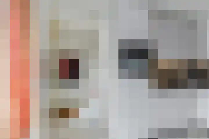 Heideblauwtje 8 Breda thumbnail 9