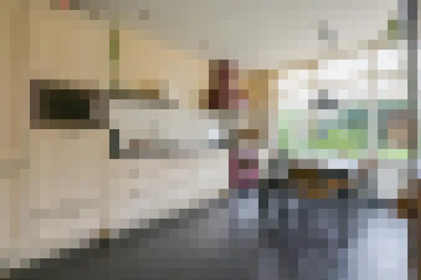 Heideblauwtje 8 Zeewolde thumbnail 12