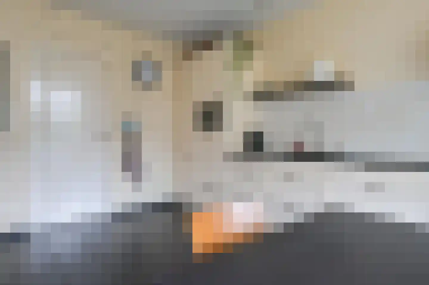 Heideblauwtje 8 Zeewolde thumbnail 13