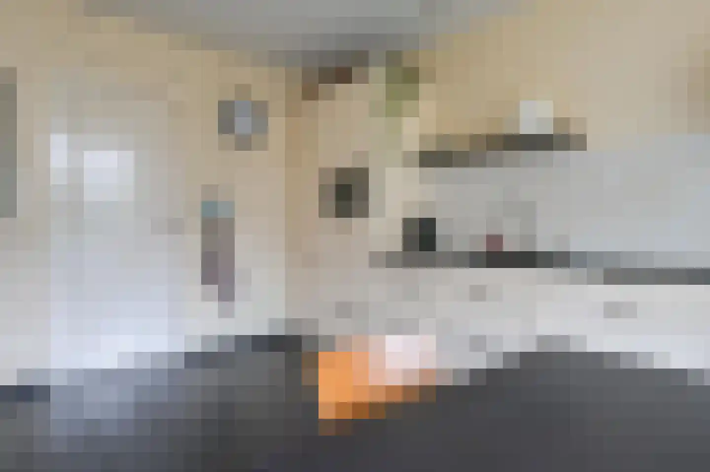 Heideblauwtje 8 Zeewolde thumbnail 15