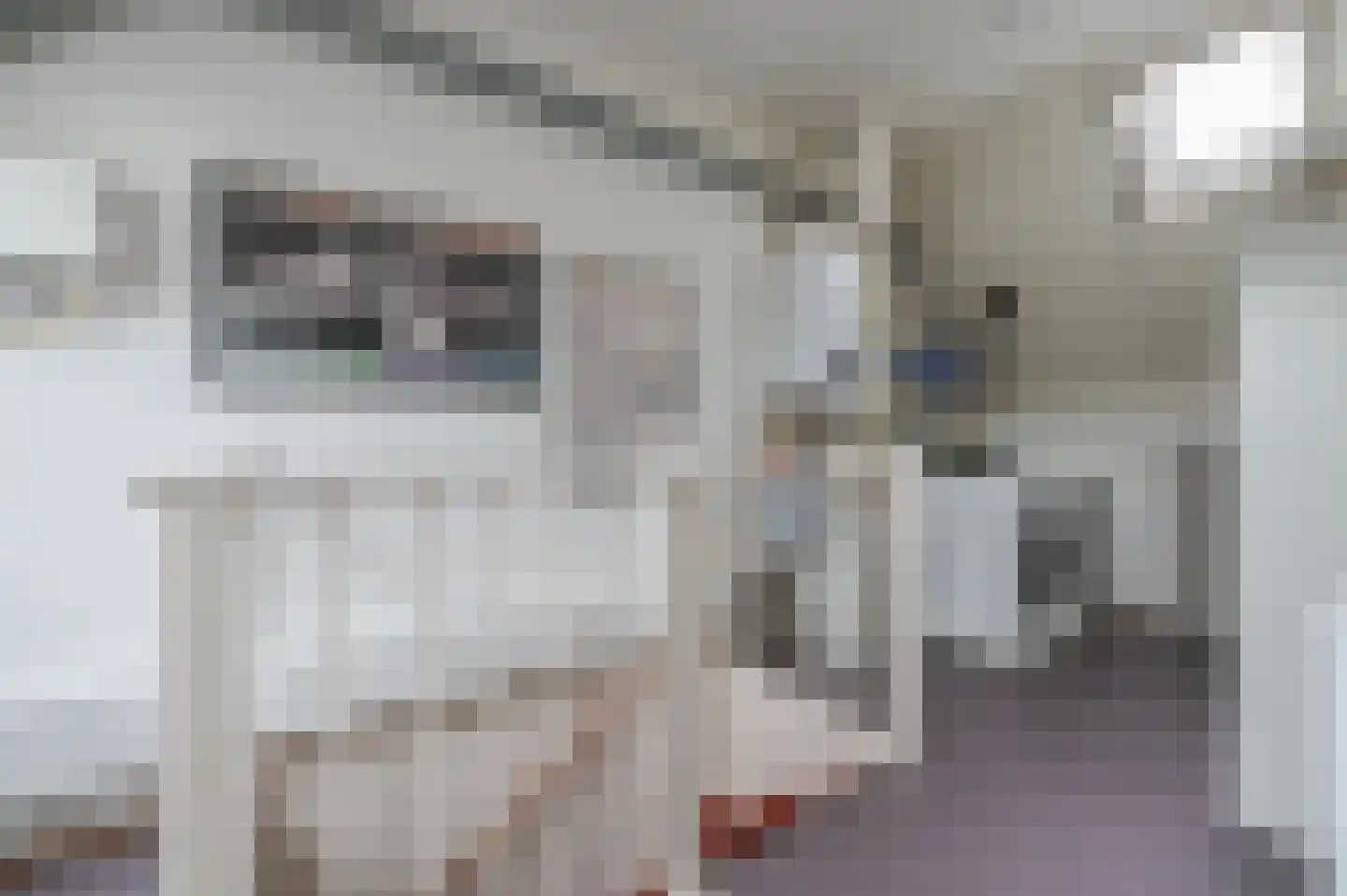 Heideblauwtje 8 Zeewolde thumbnail 24