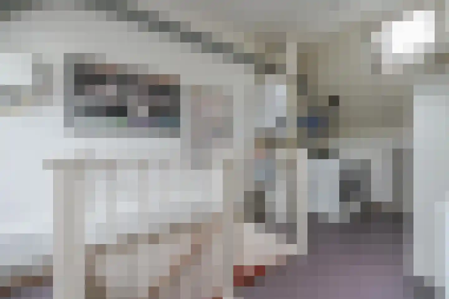 Heideblauwtje 8 Zeewolde thumbnail 26