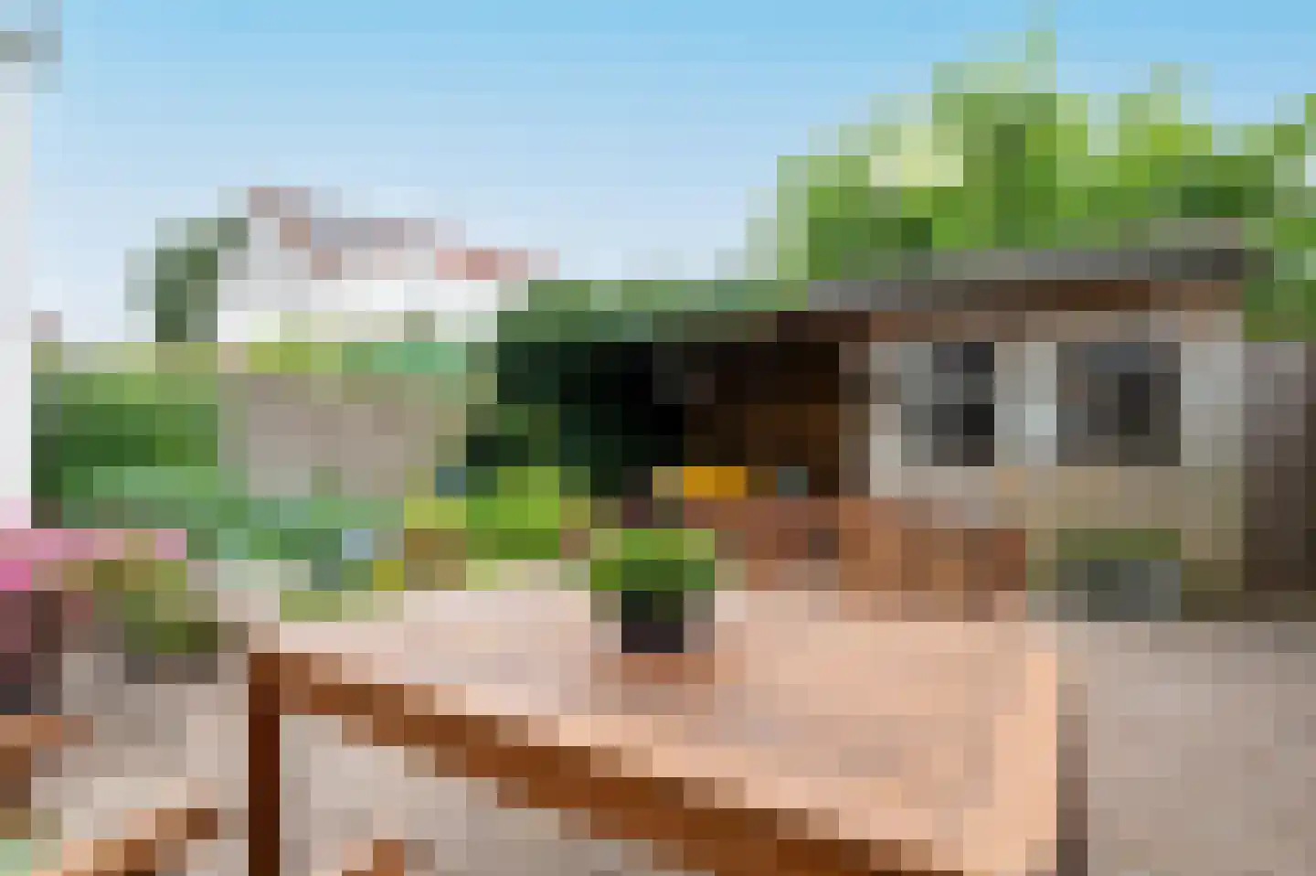 Heideblauwtje 8 Zeewolde thumbnail 32