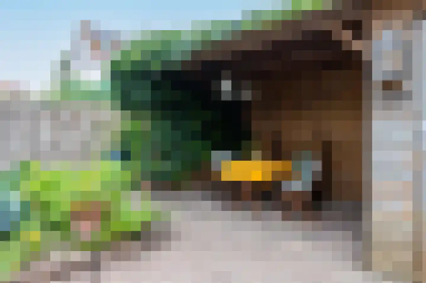 Heideblauwtje 8 Zeewolde thumbnail 33
