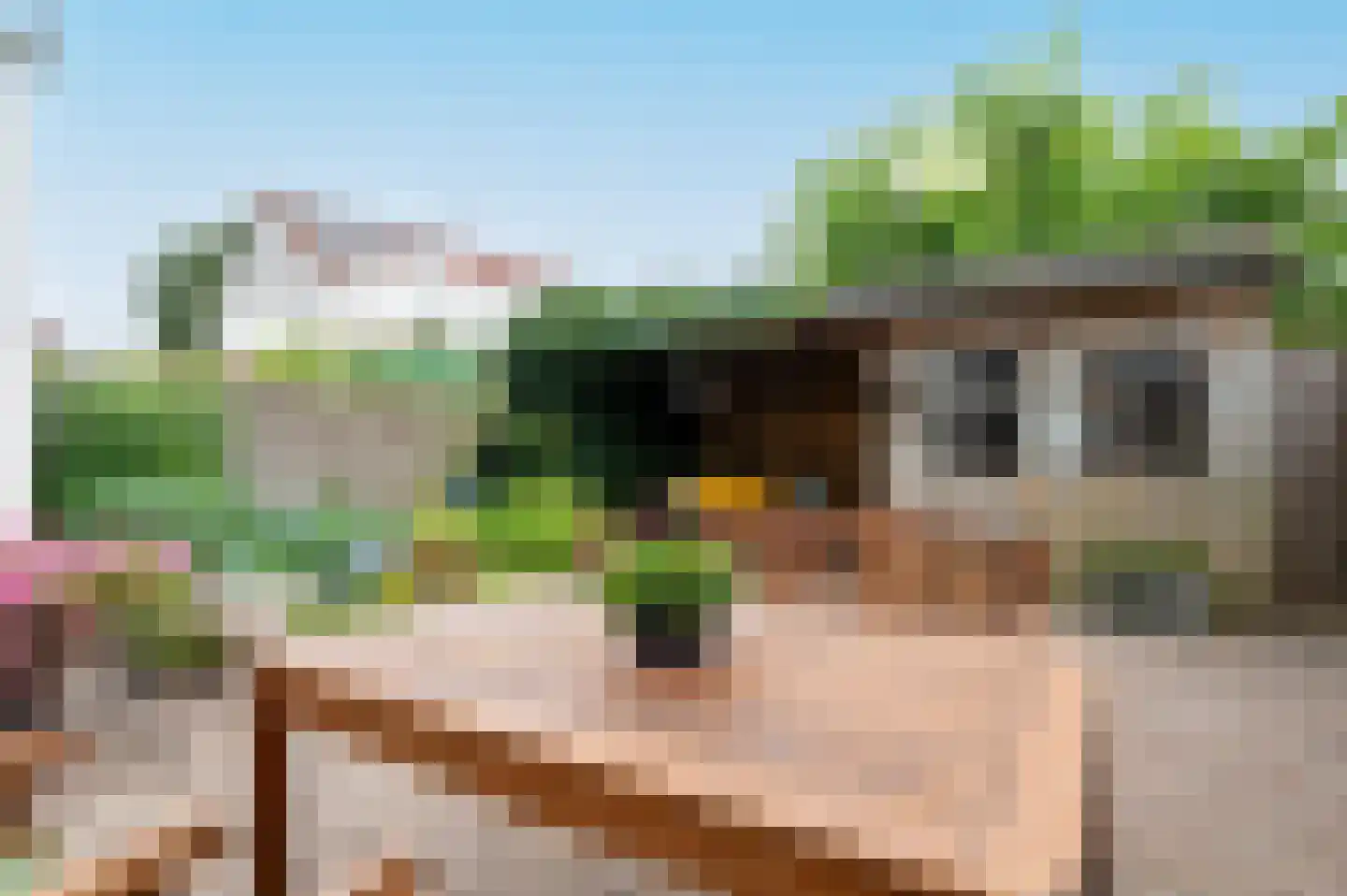 Heideblauwtje 8 Zeewolde thumbnail 34