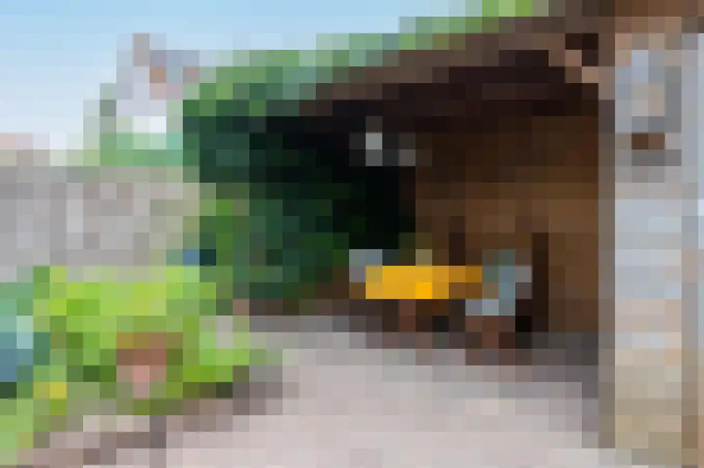 Heideblauwtje 8 Zeewolde thumbnail 35