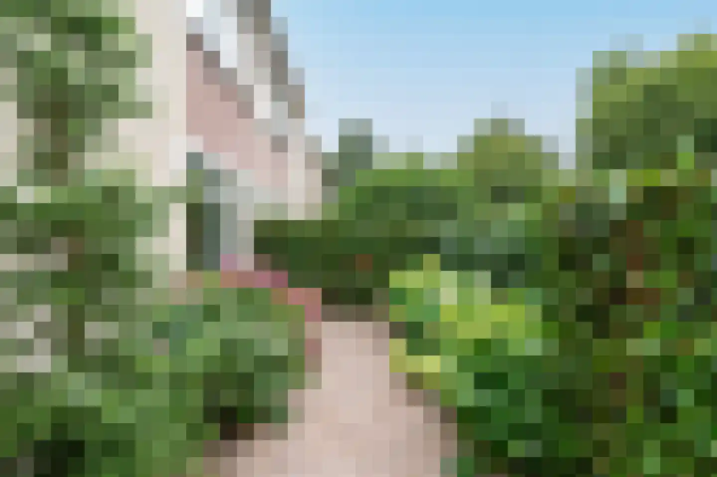 Heideblauwtje 8 Zeewolde thumbnail 36