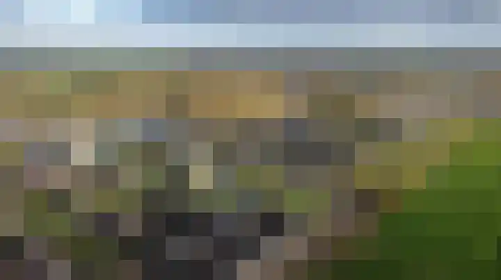 Heideblauwtje 9 Wolvega thumbnail 5