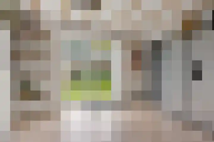 Heidebloemstraat 56 Erica thumbnail 12
