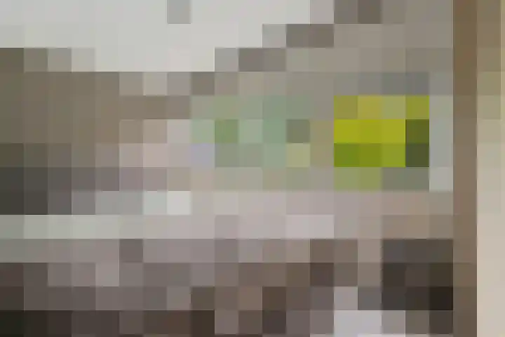 Heidebloemstraat 56 Erica thumbnail 24