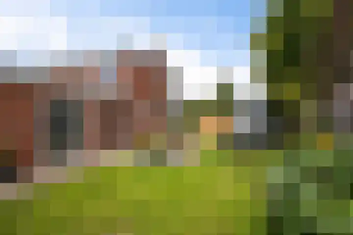 Heidebloemstraat 56 Erica thumbnail 28