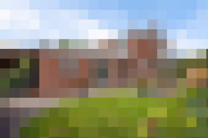 Heidebloemstraat 56 Erica thumbnail 36