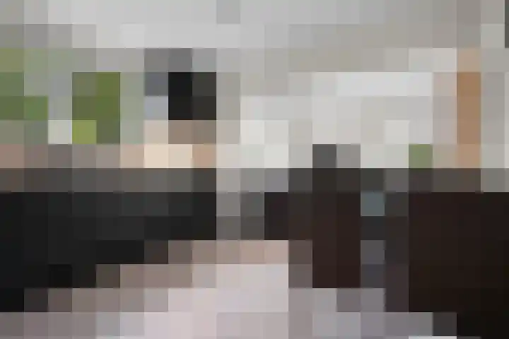 Heidebloemstraat 58 Erica thumbnail 5