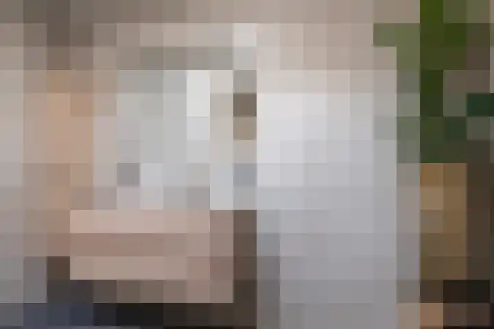 Heidebloemstraat 7 Erica thumbnail 21