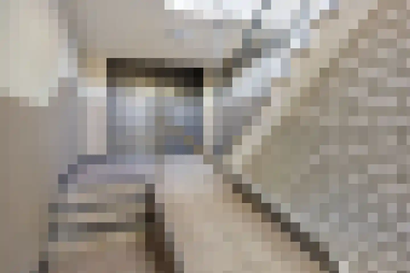 Heidebloemstraat 95 Nijmegen thumbnail 6