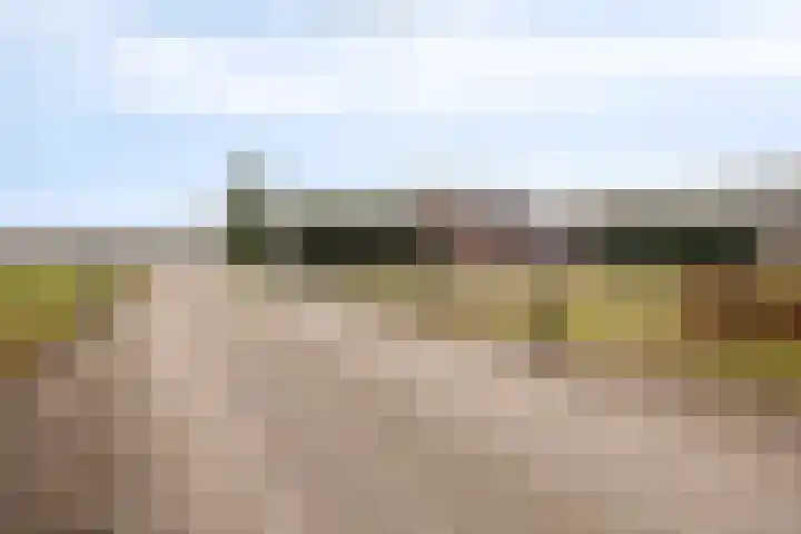 Heidebloemweg 20 Enter thumbnail 10