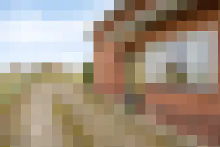 Heidebloemweg 20 Enter thumbnail 12