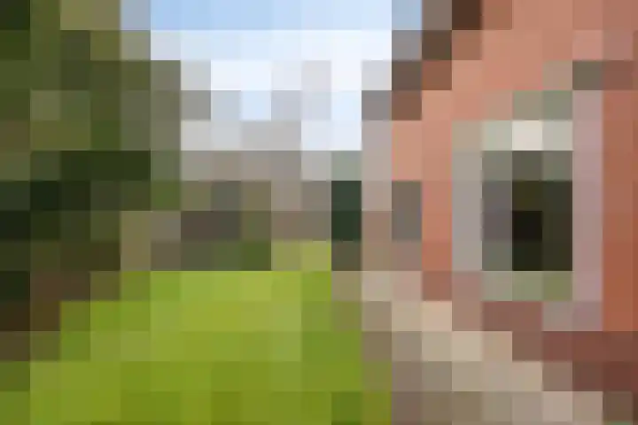 Heidebloemweg 20 Enter thumbnail 13