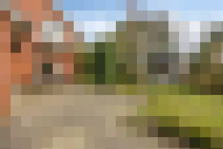 Heidebloemweg 20 Enter thumbnail 15
