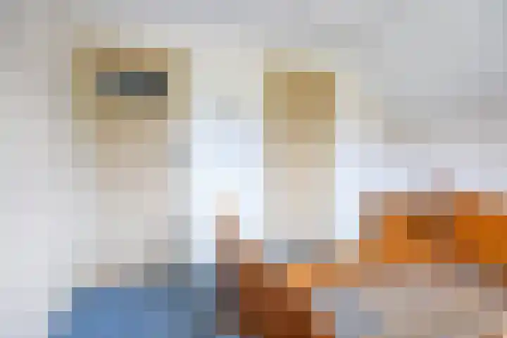 Heidebloemweg 20 Enter thumbnail 33