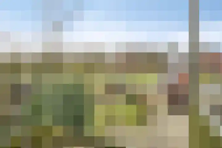 Heidebloemweg 20 Enter thumbnail 40