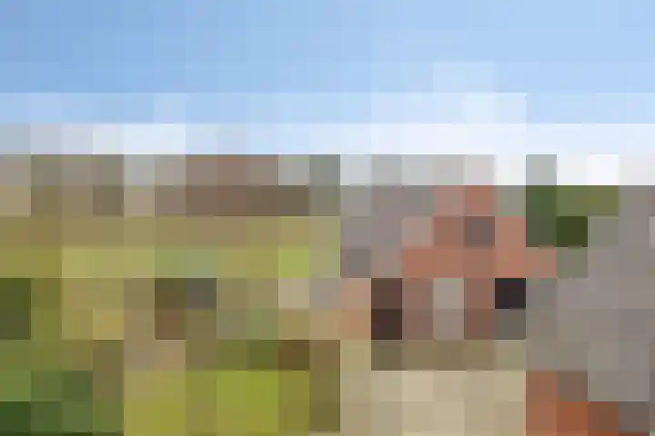 Heidebloemweg 20 Enter thumbnail 41