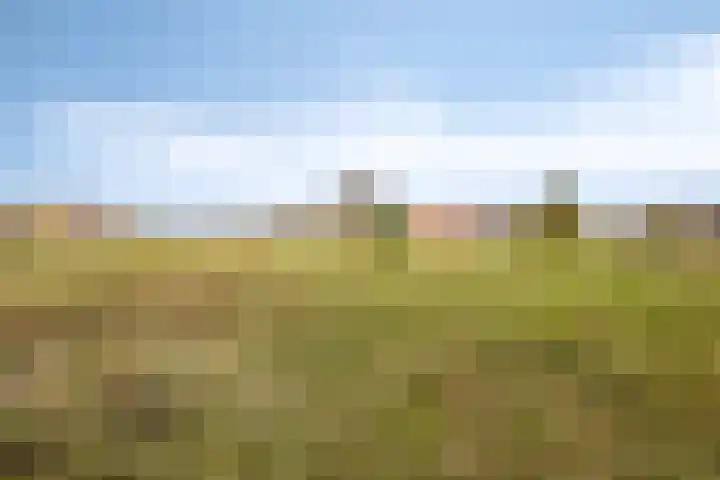 Heidebloemweg 20 Enter thumbnail 5