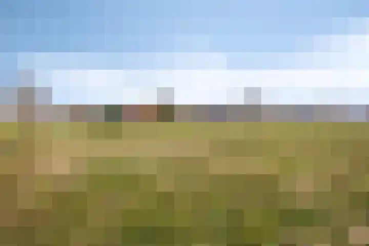 Heidebloemweg 20 Enter thumbnail 6