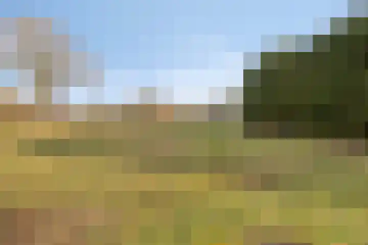 Heidebloemweg 20 Enter thumbnail 7