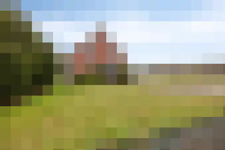 Heidebloemweg 20 Enter thumbnail 9