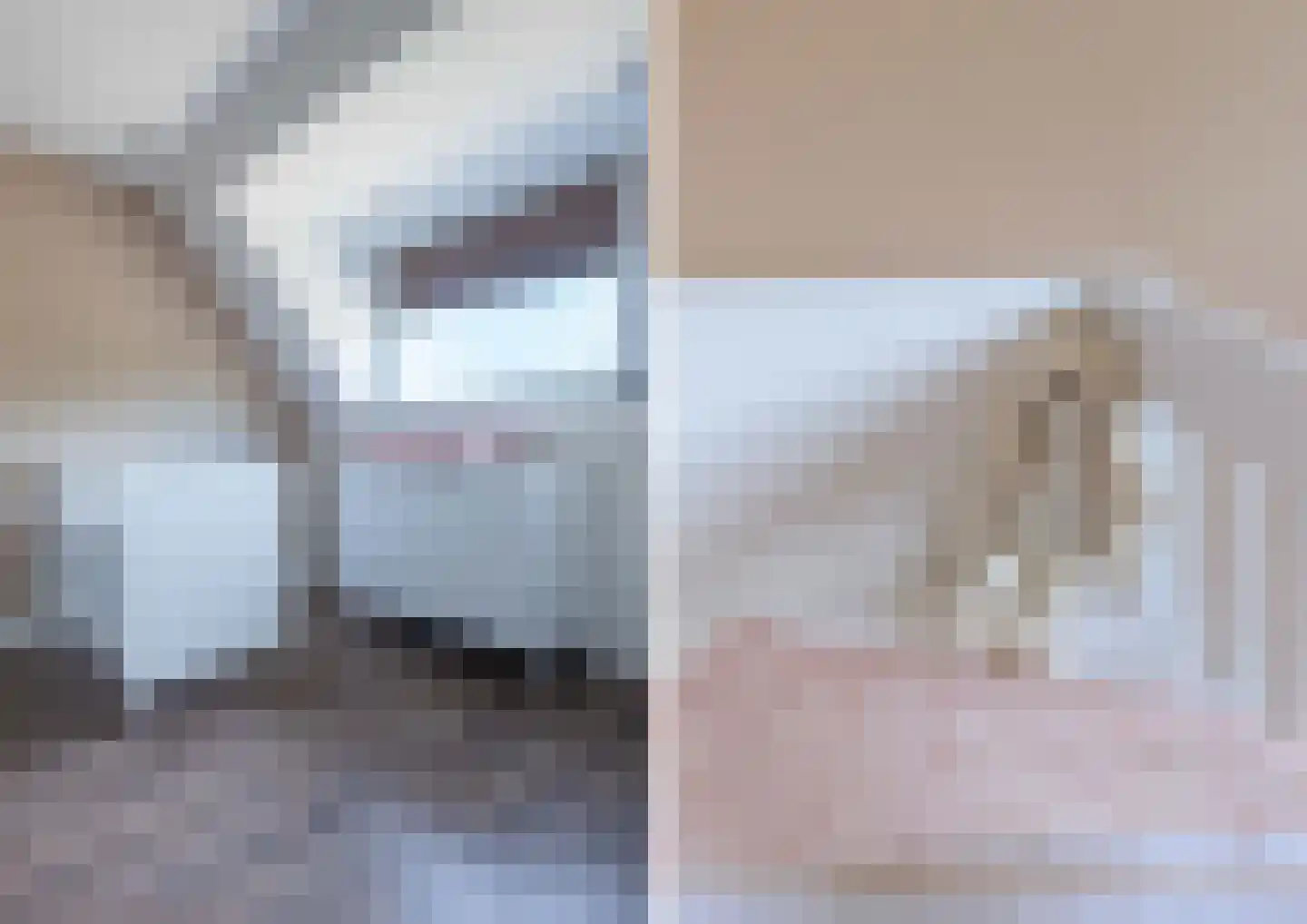 Heidedreef 6 Gemonde thumbnail 32