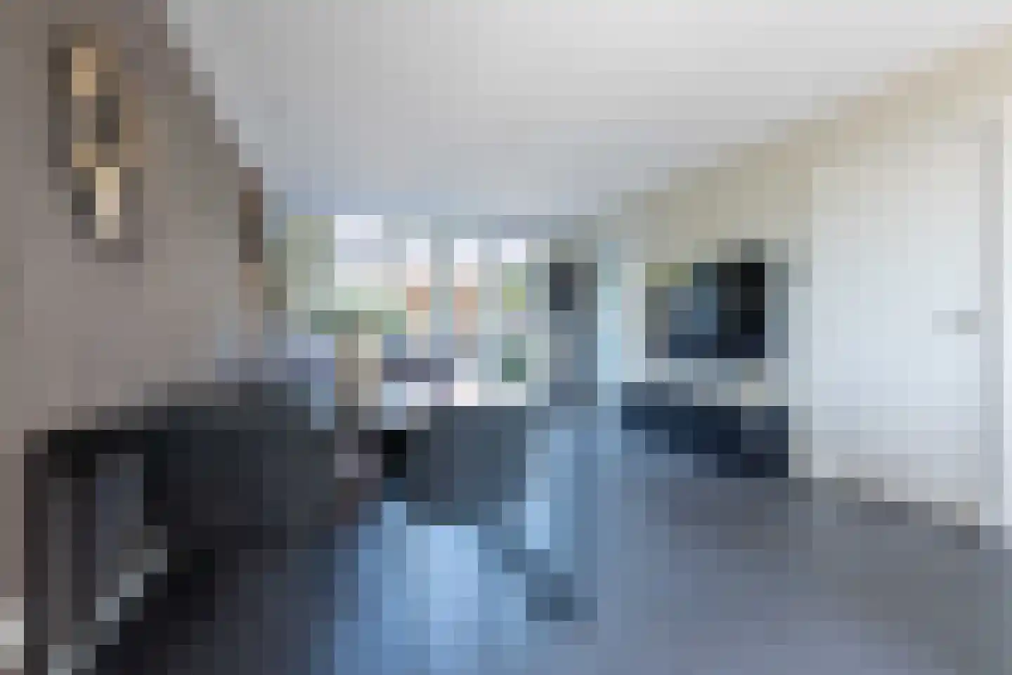 Heidedreef 6 Gemonde thumbnail 5
