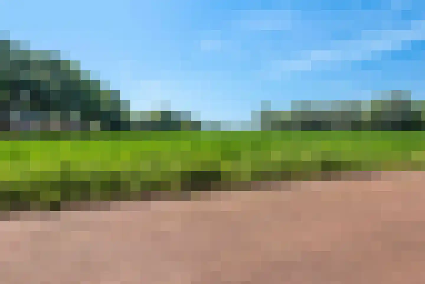 Heidedreef 6 Gemonde thumbnail 52