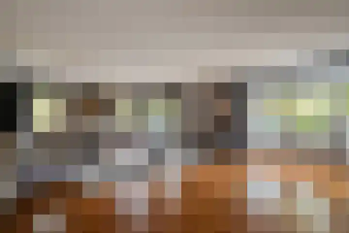 Heidehoek 10 Vroomshoop thumbnail 12