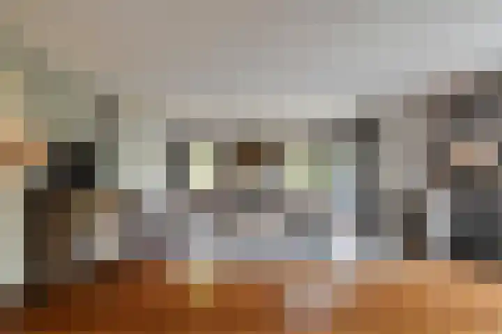 Heidehoek 10 Vroomshoop thumbnail 13