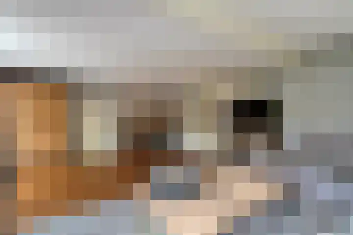 Heidehoek 10 Vroomshoop thumbnail 15