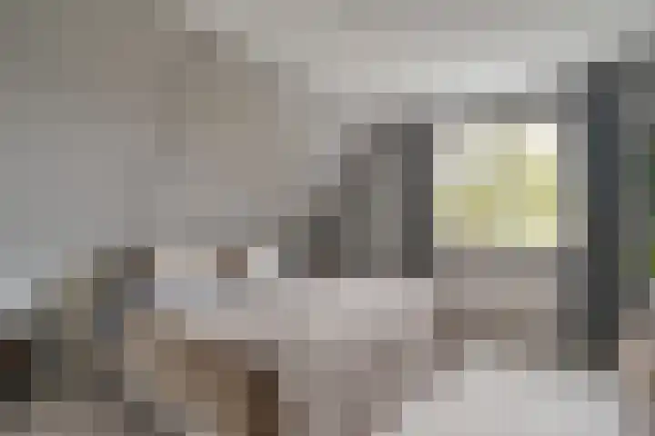Heidehoek 10 Vroomshoop thumbnail 24