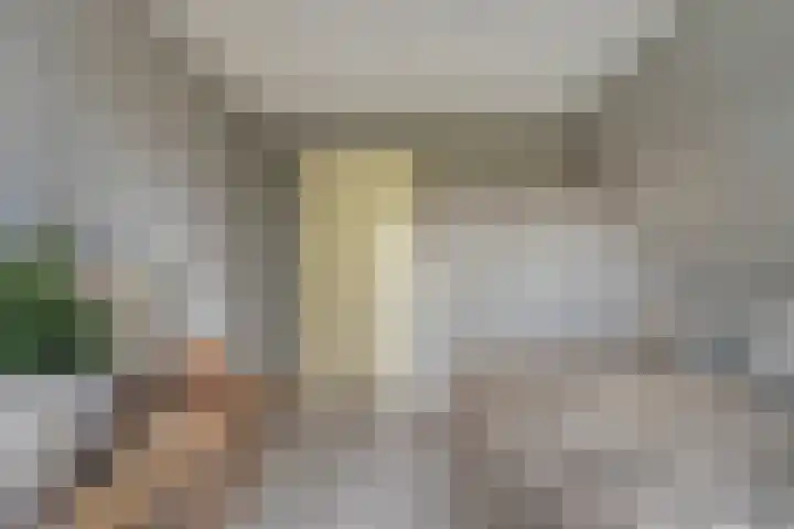 Heidehoek 10 Vroomshoop thumbnail 25