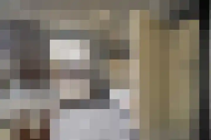 Heidehoek 10 Vroomshoop thumbnail 28