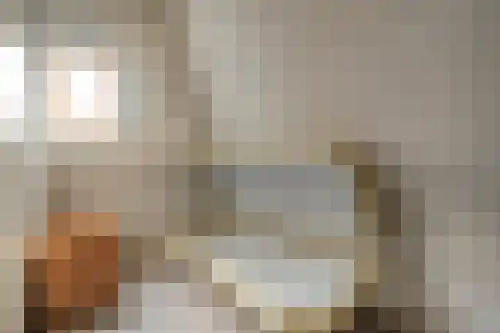 Heidehoek 10 Vroomshoop thumbnail 33