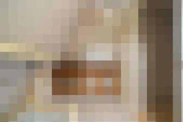 Heidehoek 10 Vroomshoop thumbnail 34