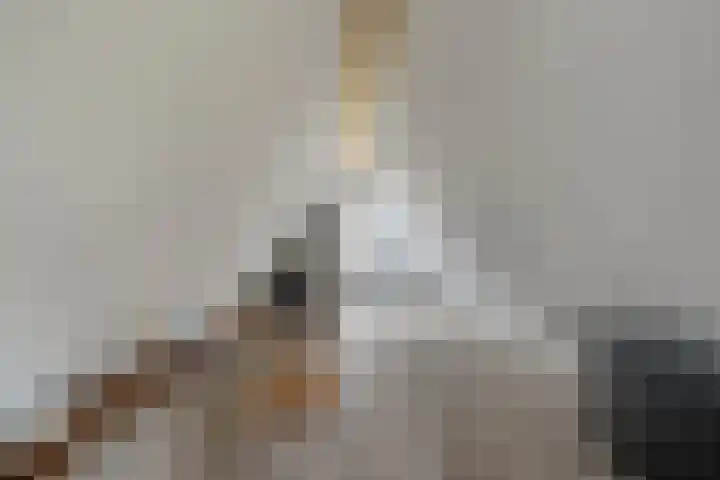 Heidehoek 10 Vroomshoop thumbnail 38