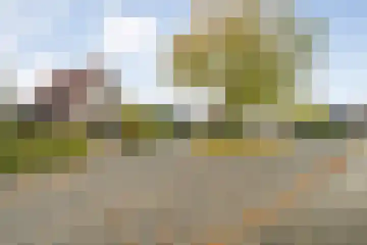 Heidehoek 10 Vroomshoop thumbnail 4