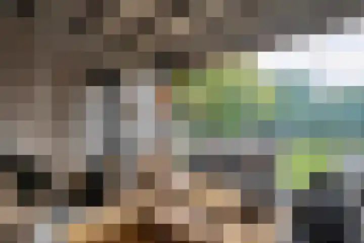 Heidehoek 10 Vroomshoop thumbnail 40