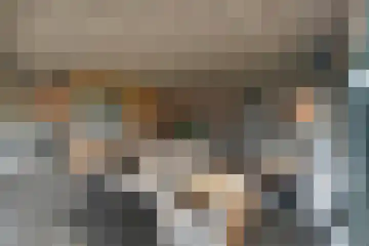 Heidehoek 10 Vroomshoop thumbnail 43