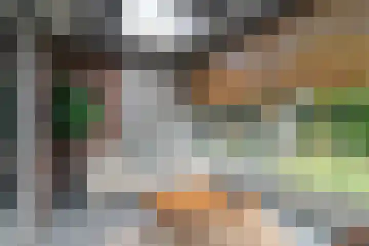 Heidehoek 10 Vroomshoop thumbnail 46