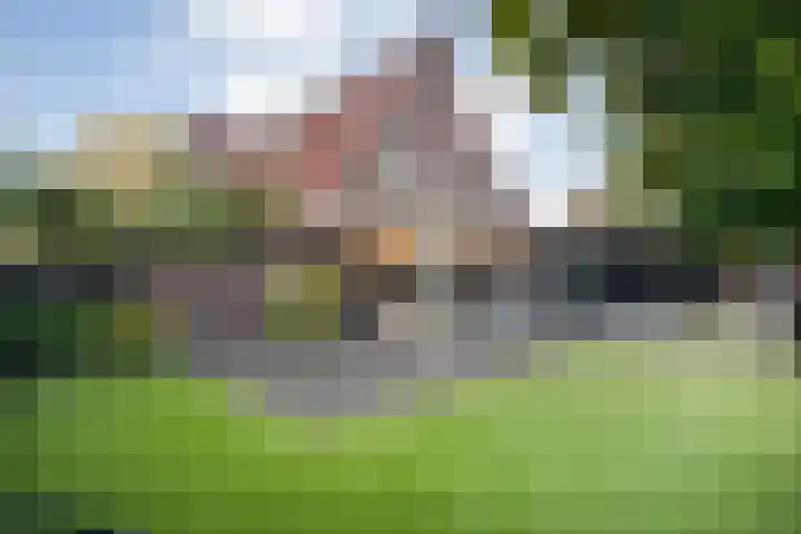 Heidehoek 10 Vroomshoop thumbnail 54
