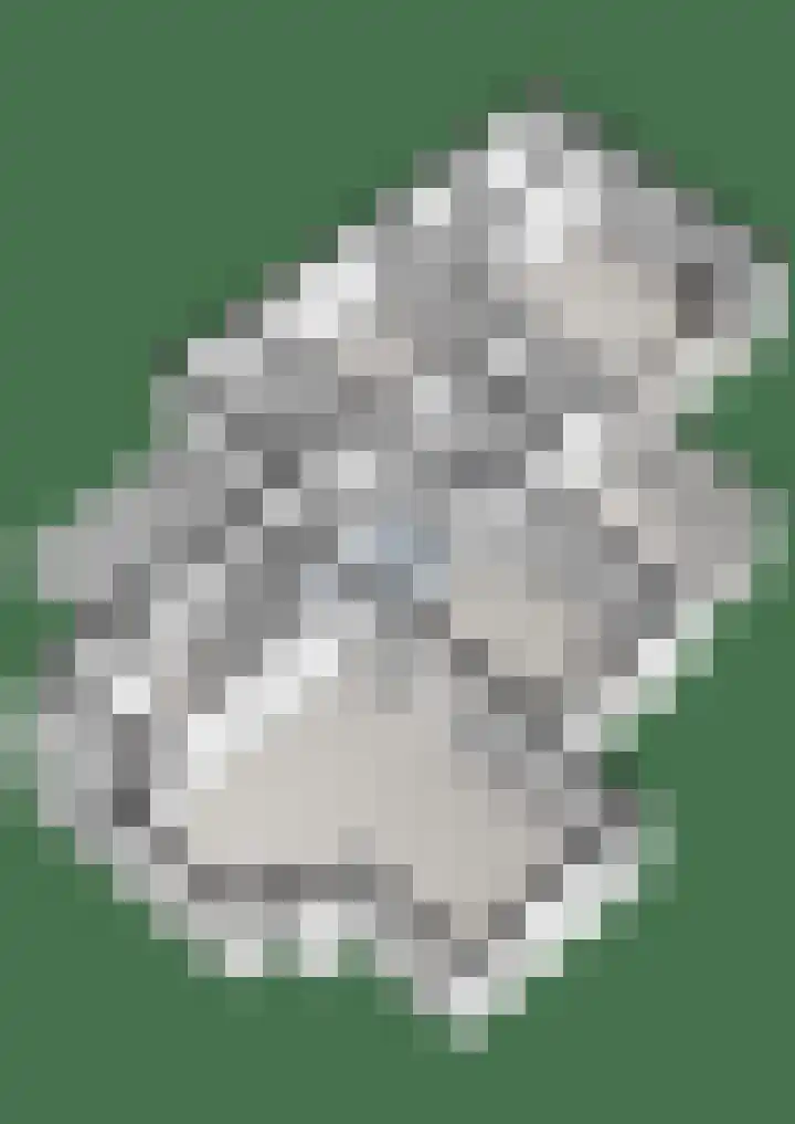 Heidehoek 10 Vroomshoop thumbnail 56