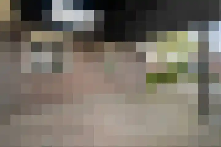 Heidehoek 10 Vroomshoop thumbnail 6