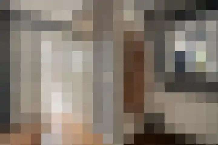 Heidehoek 10 Vroomshoop thumbnail 9